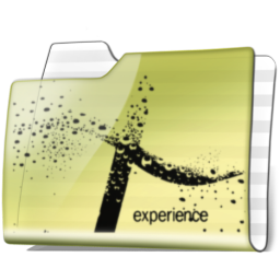 Xperiance yellow copy